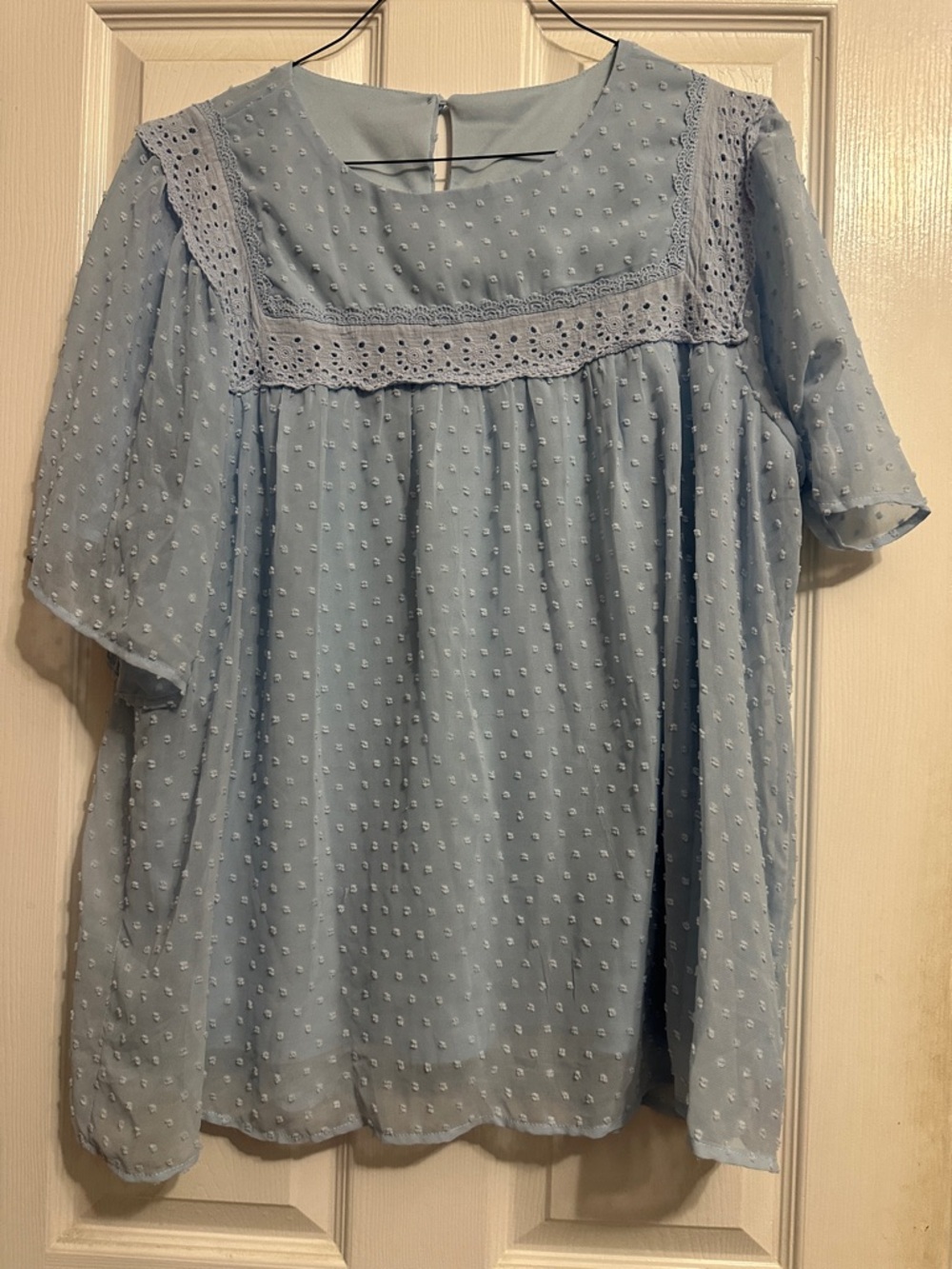 Light Blue Swiss Dot Lace Yoke Women's Blouse